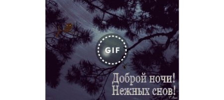 Тик ток доброй ночи