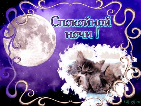 Доброй ночи сладких снов