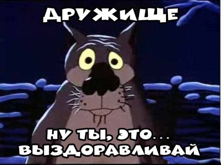 Выздоравливай дружище