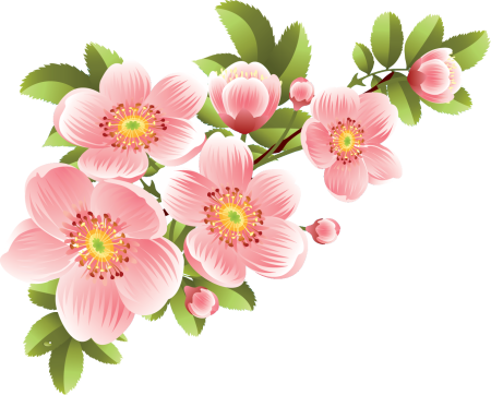 Цветочки на белом фоне