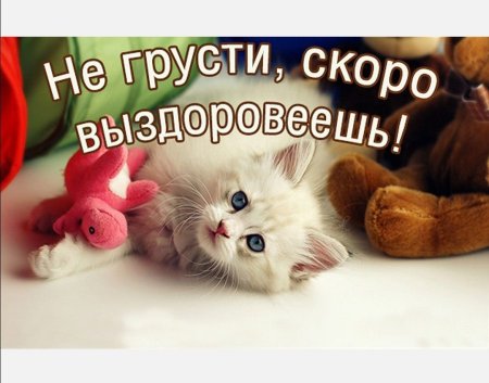 Выздоравливай скорее