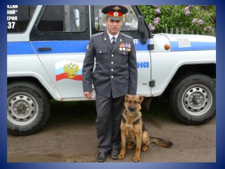 Профессия полиция