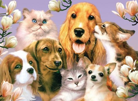 Много животных