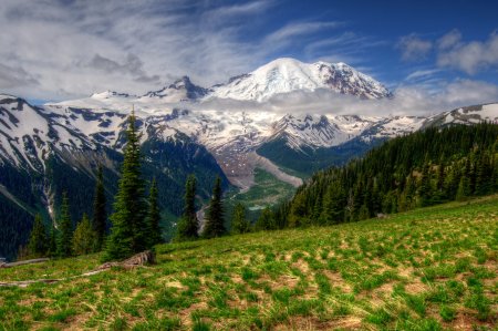 Альпийские Луга Тянь Шаня