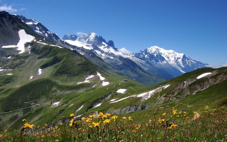 Альпийские Луга Тянь Шаня