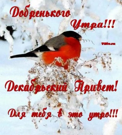 Открытки с добрым декабрьским утром