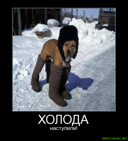 Смешные приколы про холод