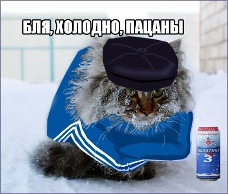 Шутки про холод