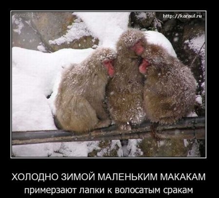 Приколы про холод