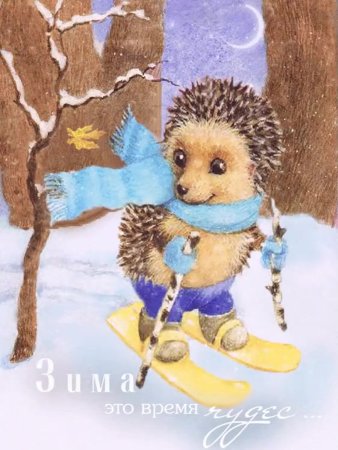 Зимний Ёжик