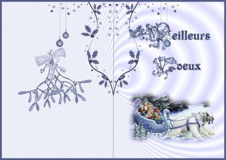 Поздравление с новым годом на французском языке