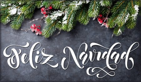 Фелис Навидад