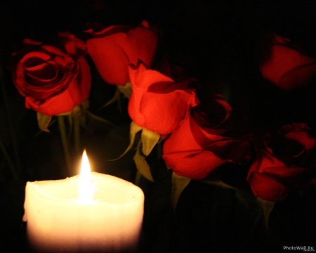 Помним любим скорбим папа