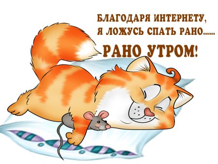 Спокойной ночи прикольные