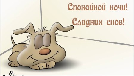 Сладких снов прикольные