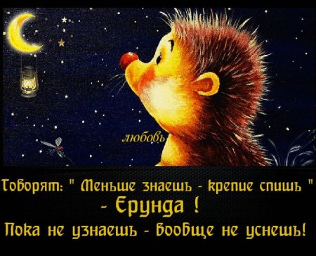 Спокойной ночи прикольные смешные