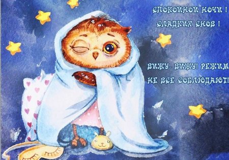 Прикольные пожелания спокойной ночи