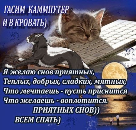 Добрых снов цитаты