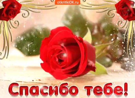 Благодарю вас за теплые слова