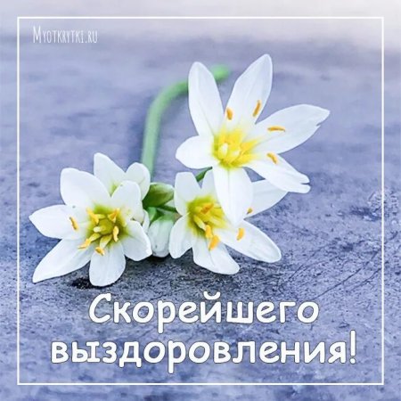 Скорейшего выздоровления картинки