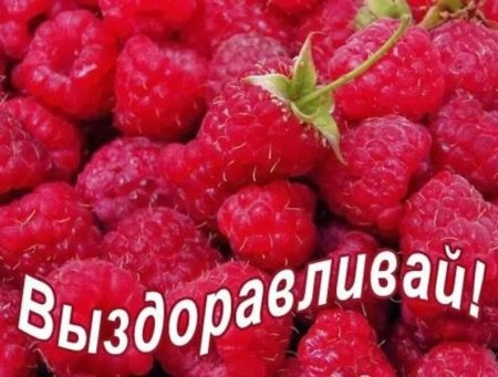 Открытка выздоравливай