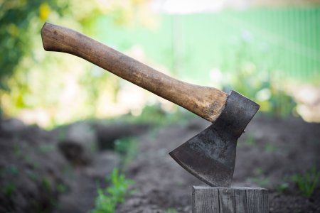 Топор в пеньке