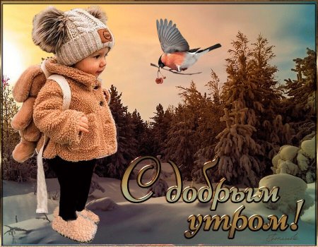 Доброфевральское утро