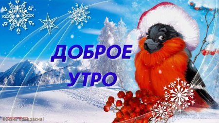 Доброе зимнее утро