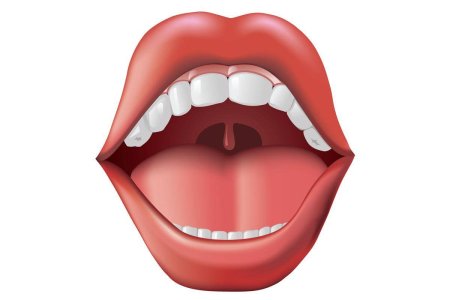 Губы с зубами