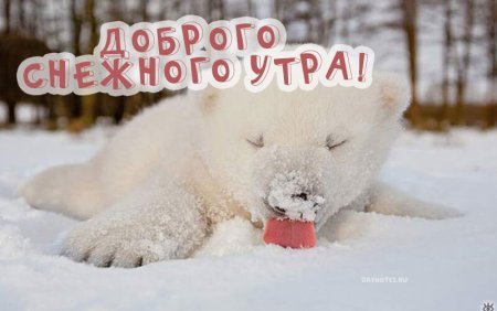 Доброе Снежное утро