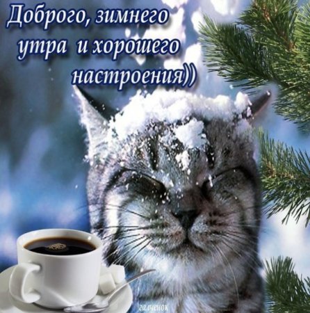 Доброе морозное утро