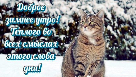 Пожелания с добрым утром зимние прикольные