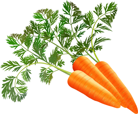 Морковь для дошкольников