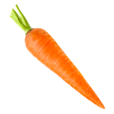 Морковка настоящая