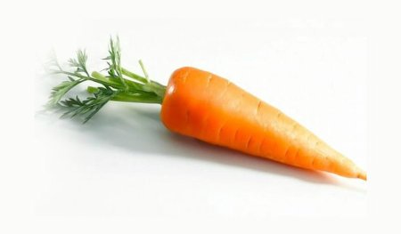 Морковь на белом фоне