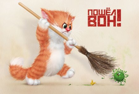 Котик на метле