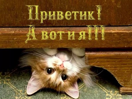 Приветик а вот и я