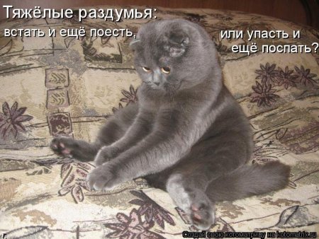 Открытки с животными с надписями