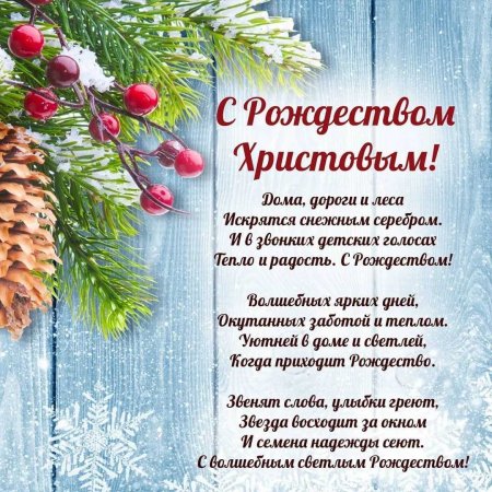Еловые ветки в снегу