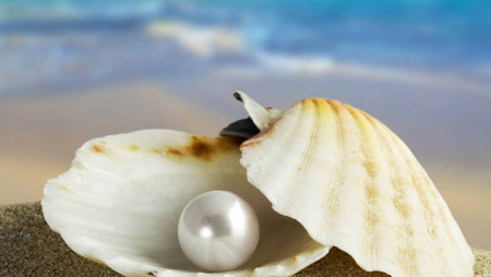 Жемчужница моллюск