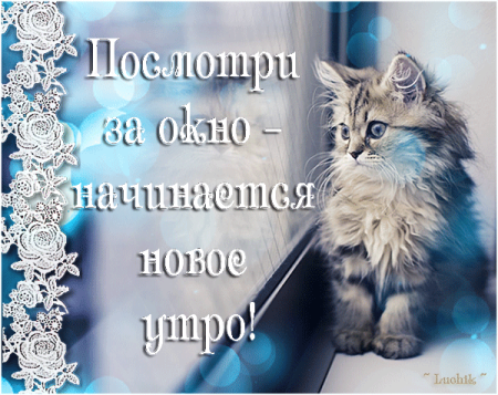 Доброго зимнего вторника