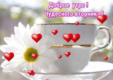 С добрым утром вторника