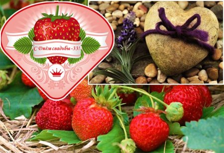 Каменная Клубничная свадьба 33 года