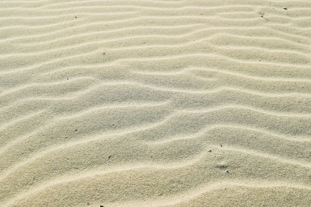 Текстура песка бесшовная