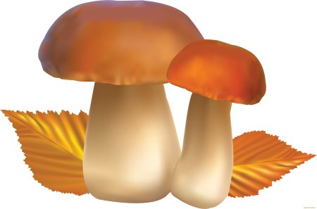 Гриб рисунок