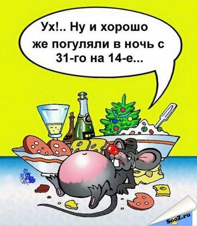 Новогодние шутки