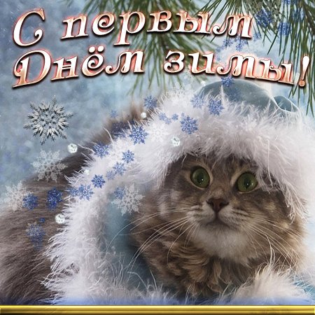 С первым зимним днем