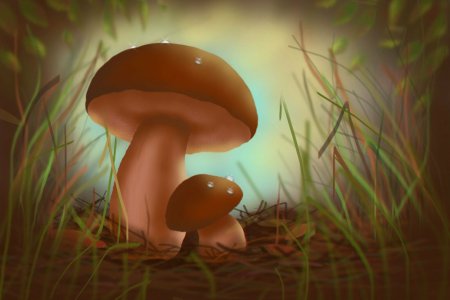 Маленькие грибочки