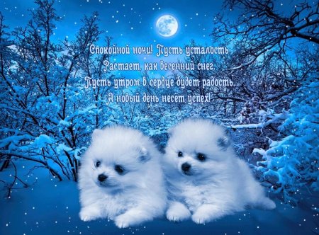 Открытки с пожеланием спокойной ночи