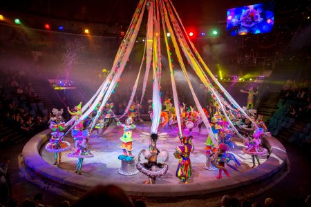 В цирке представление